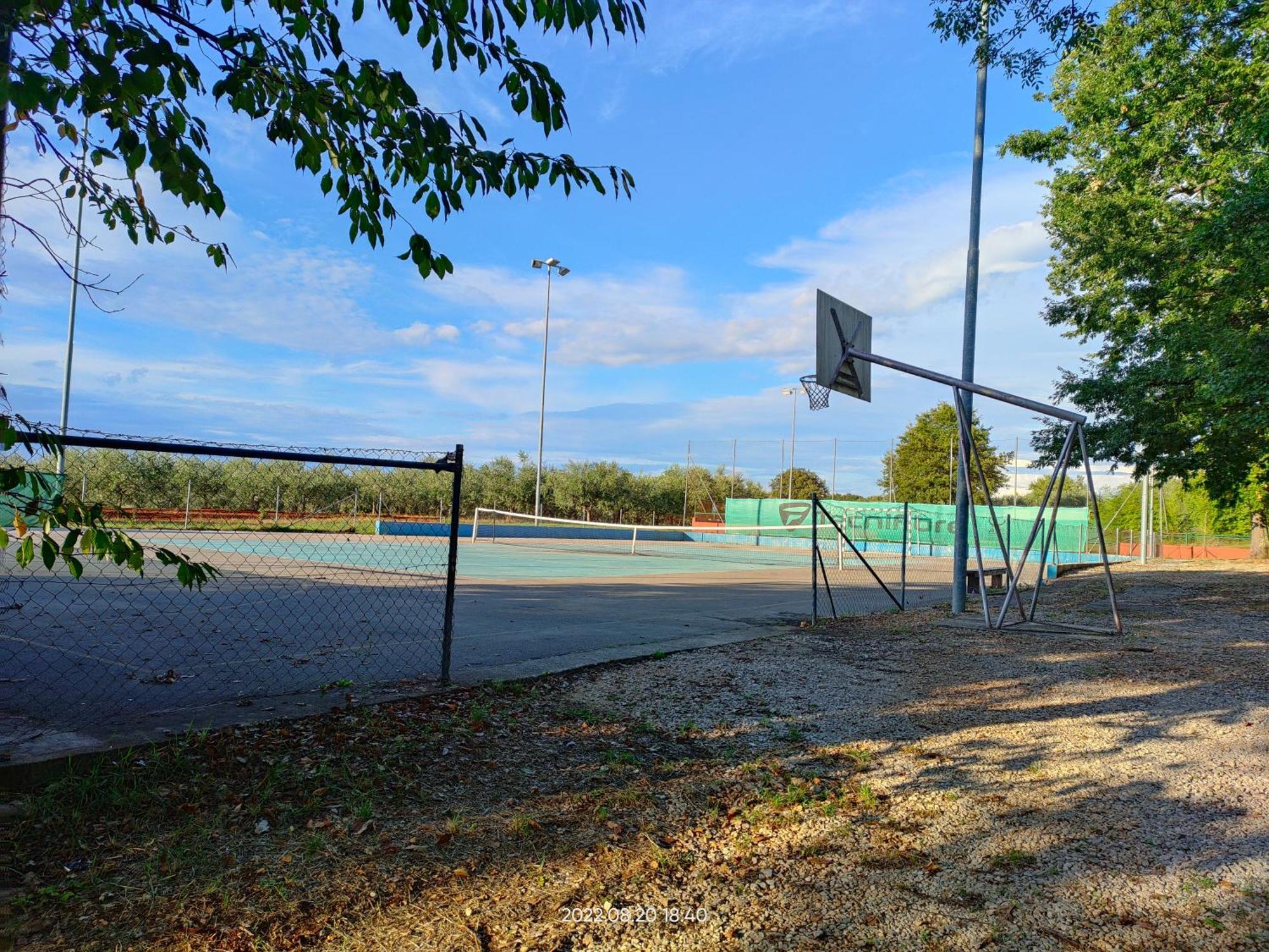 Radini Istrian Antique With Private Parking And Terrace Brtonigla